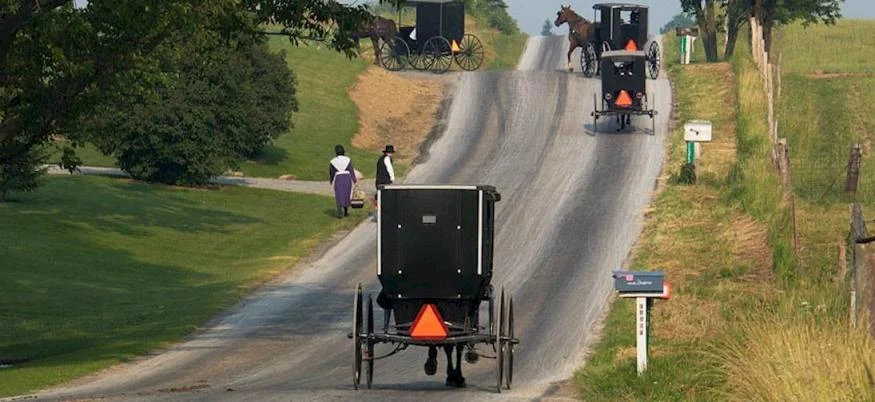 Behalt (Amish and Mennonite Heritage Center)